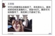 娱乐吃瓜酱救狗还是救人,救狗还是救人的道德抉择